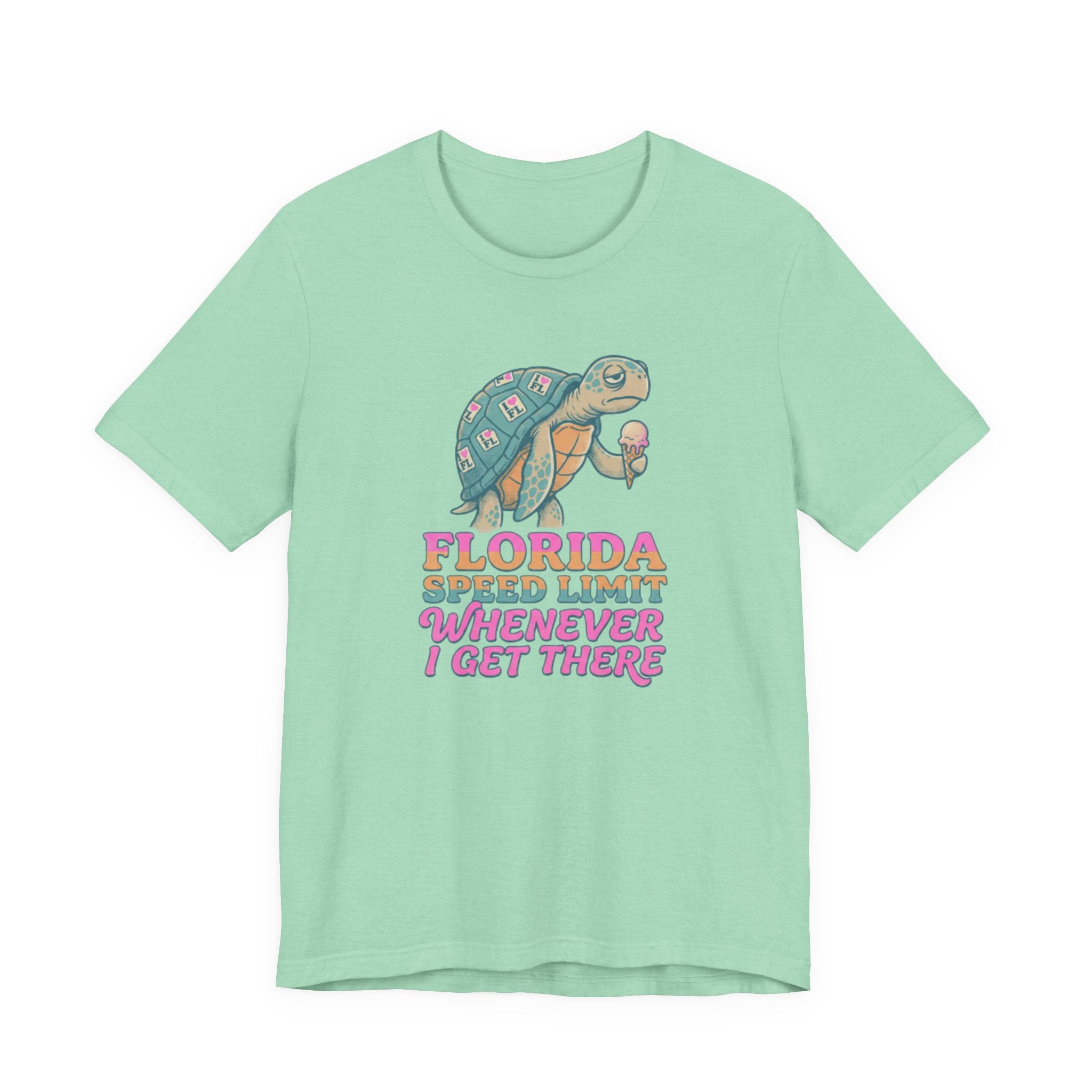 Florida speed limit whenever Tee
